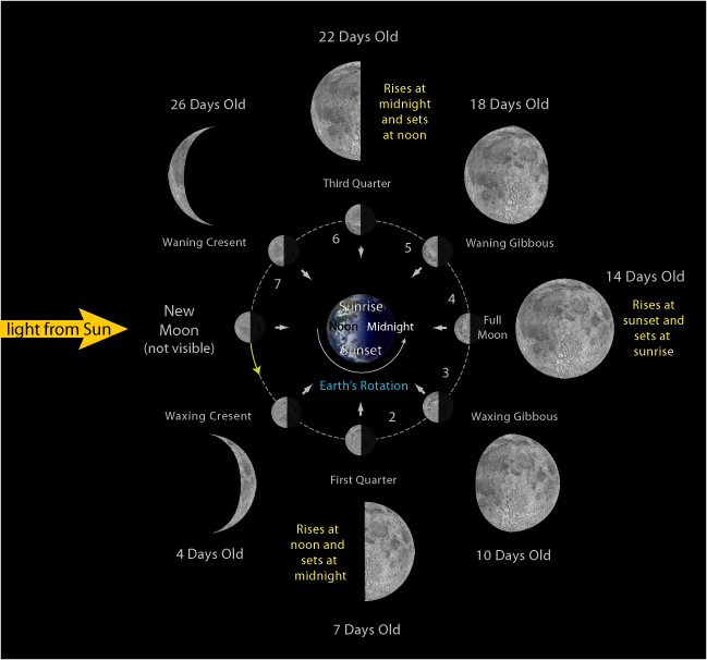 Lunar Cycles