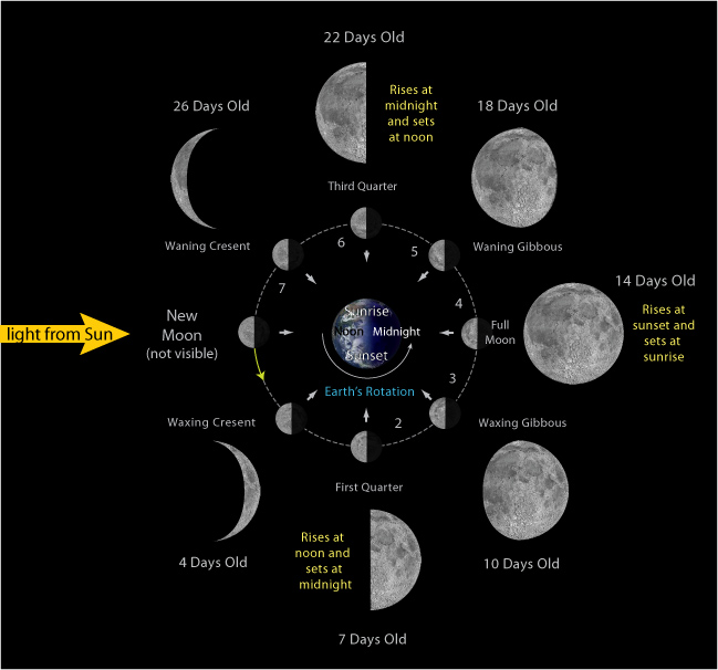 lunar-cycles