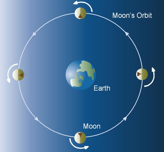 Lunar Rotation