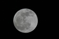 moon08.jpg