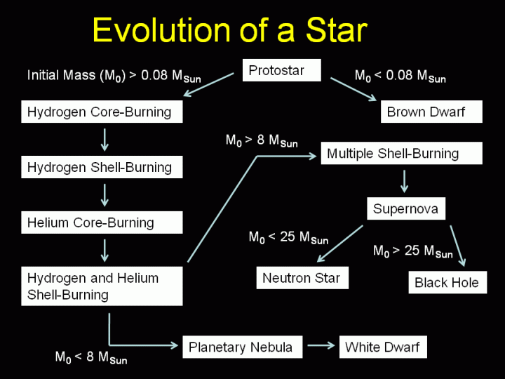 Evolution of a Star