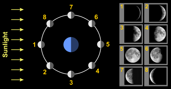 Lunar Phases Vector Illustration. Moon Phase Cycle, New Moon, Full